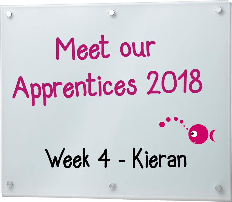 Our Apprentices 2018 - Week 4